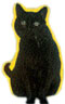 Sabrina's cat Salem