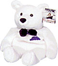 Titanic Bear #1
